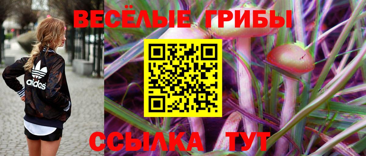Галлюциногенные грибы мицелий  Вход с VPN  Псилоцибиновые грибы Psilocybe  Миасс 